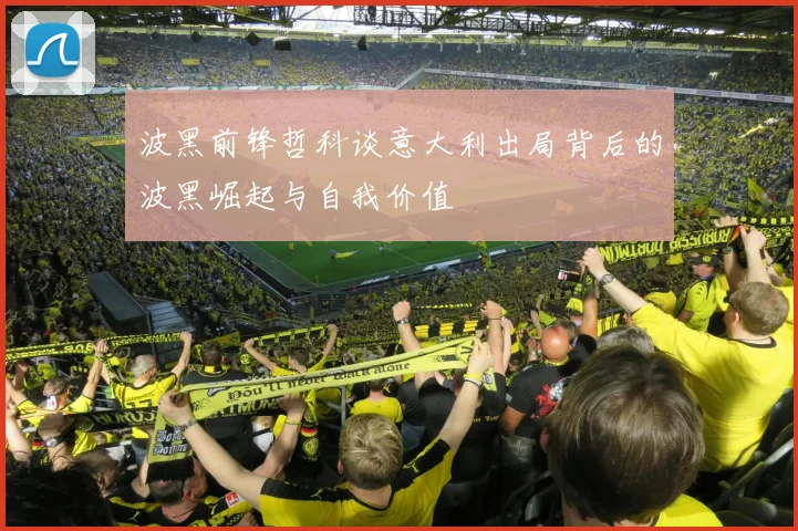 波黑前锋哲科谈意大利出局背后的波黑崛起与自我价值