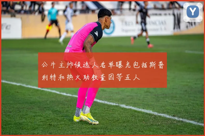 公牛主帅候选人名单曝光包括斯普利特和热火助教奎因等五人